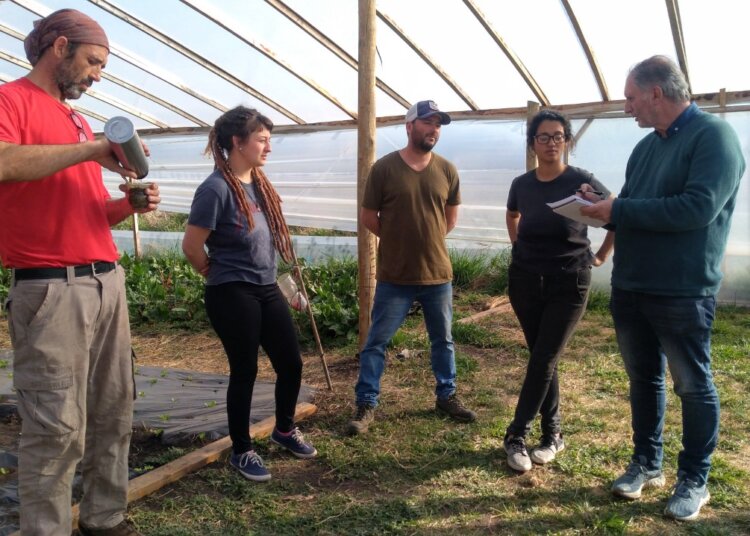 Positiva evaluación del desarrollo de 3 huertas comunitarias asociativas