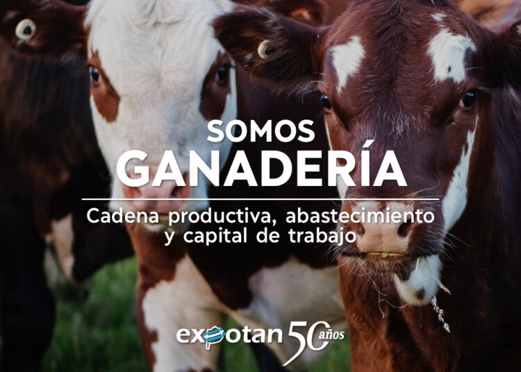 El campo, el comercio y la industria se juntan en Expotan