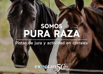 La Expocaballos Criollos se hará este año dentro de Expotan