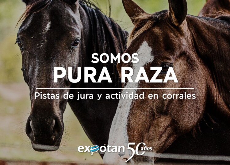 La Expocaballos Criollos se hará este año dentro de Expotan