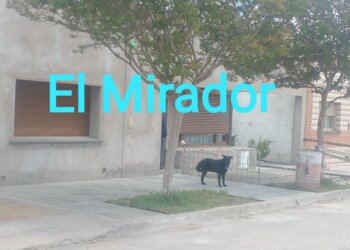 Robaron en un domicilio durante la madrugada