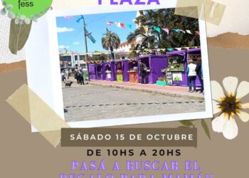 Este sábado se realiza un gran feria primaveral en Plaza Independencia