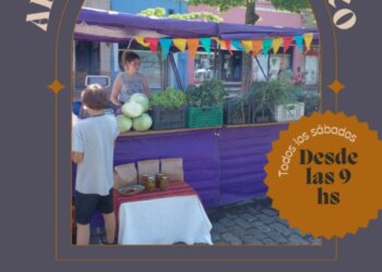 Hoy almacén agroecológico en la Plaza Independencia