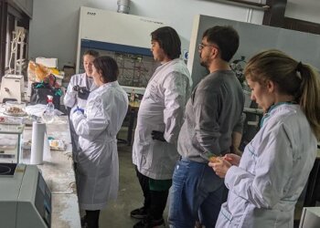 Estudiantes de Olavarría idearon un sistema para descontaminar colillas de cigarrillo