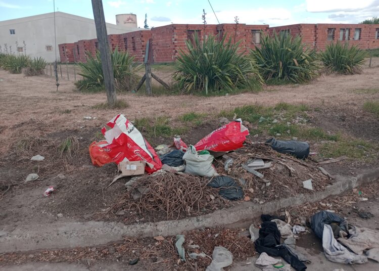 Vecinos juarenses apelan a la solidaridad para mantener la limpieza urbana
