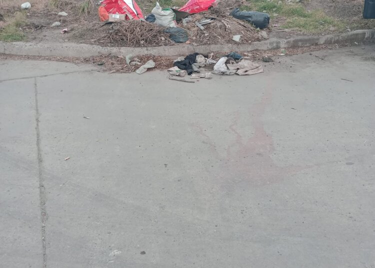 Vecinos juarenses apelan a la solidaridad para mantener la limpieza urbana
