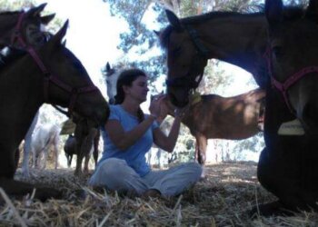 Logró que su hijo caminara con equinoterapia y ahora trabaja para “cambiar vidas” gracias a los caballos