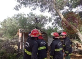 Cayó una planta sobre una casa y un automóvil en Claromecó