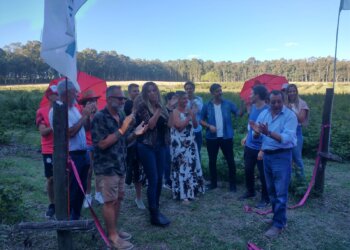 Quedó oficialmente inaugurada la edición 20 de la Fiesta Provincial de la Frambuesa