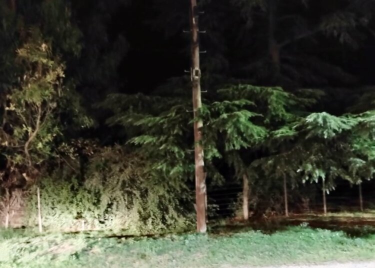 Menor aprehendido por robo  en la madrugada de hoy