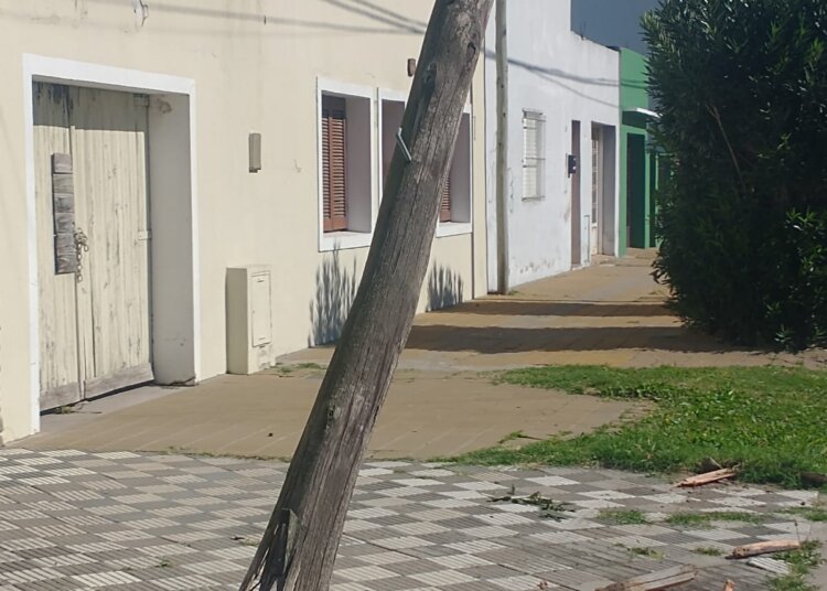 Un conductor arrasó con un poste de telefónica, chocó una camioneta y terminó contra una planta