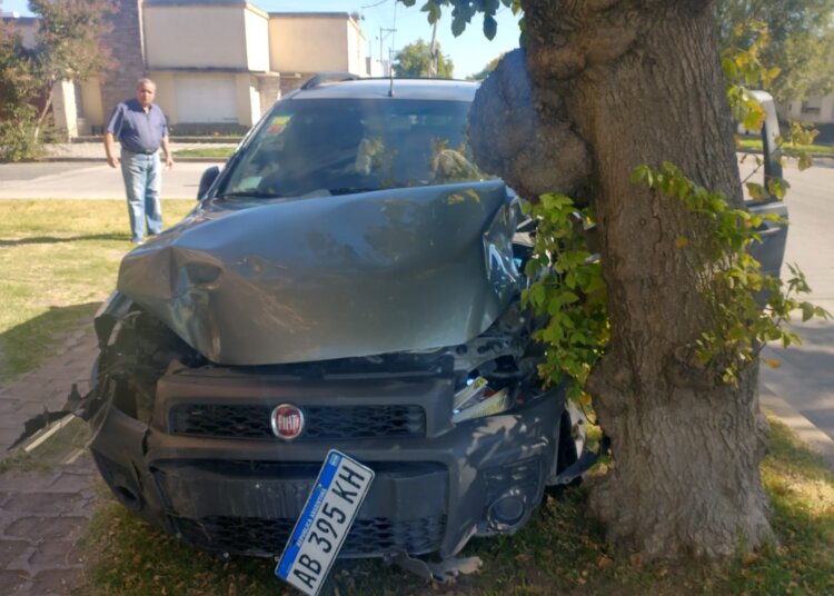 Un conductor arrasó con un poste de telefónica, chocó una camioneta y terminó contra una planta