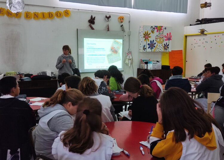 Diversas actividades educativas sobre huerta agroecológica