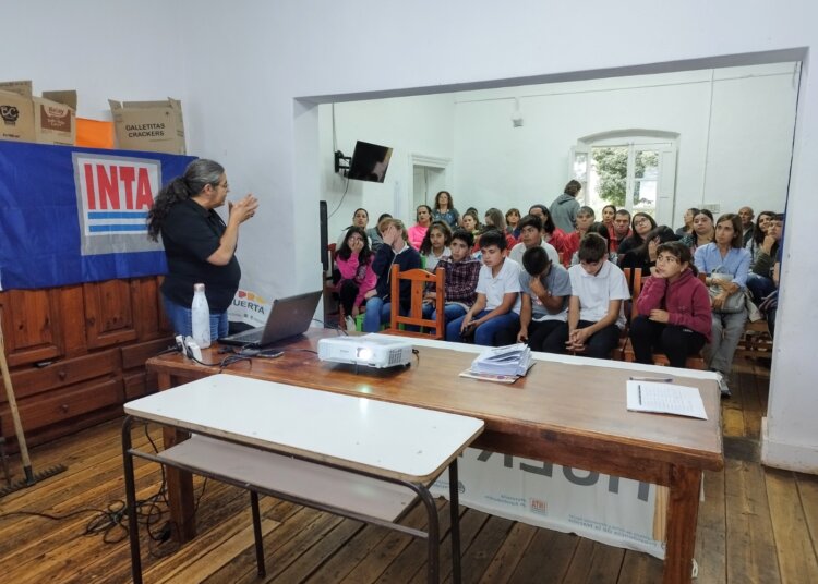Diversas actividades educativas sobre huerta agroecológica