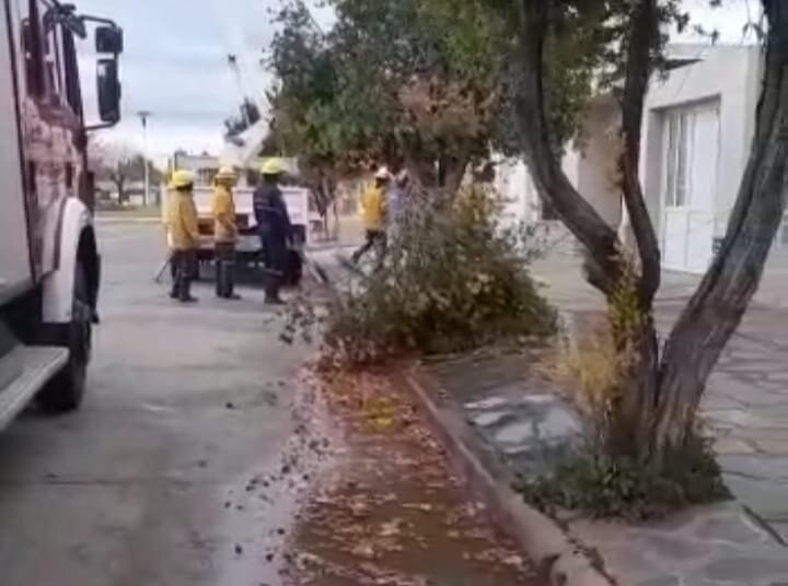 Producto del fuerte viento se cayó un poste de telefónica