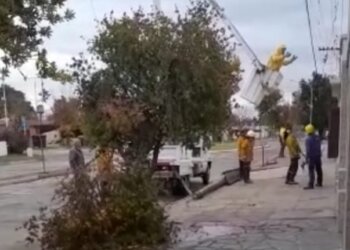Producto del fuerte viento se cayó un poste de telefónica