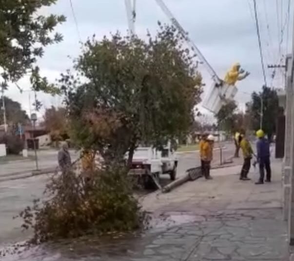 Producto del fuerte viento se cayó un poste de telefónica