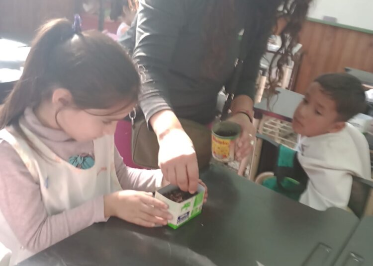 Continúa el apoyo a proyectos escolares de huerta