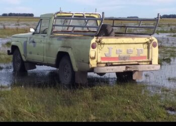 Fue hallada la camioneta robada en el campo