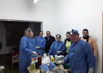 Campaña de Castración masiva en Tedín Uriburu