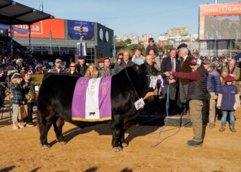 El Reservado Gran Campeón y el tercer Mejor Macho correspondieron a Tres Marías