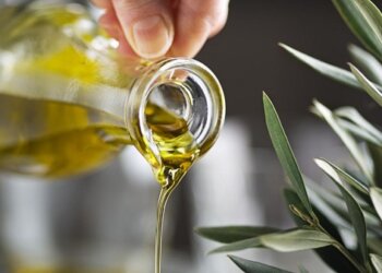 Buenos Aires se fortalece como productor de aceite de oliva de alta calidad, con apoyo del INTA