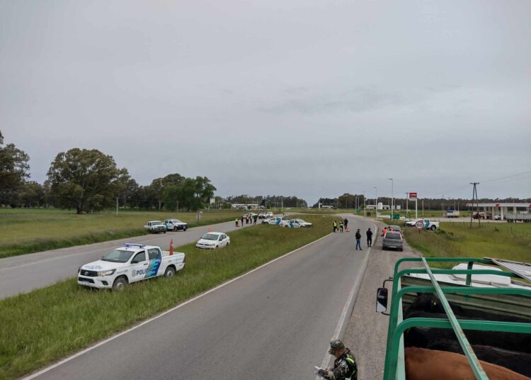 Amplio operativo policial sobre ruta nacional 3