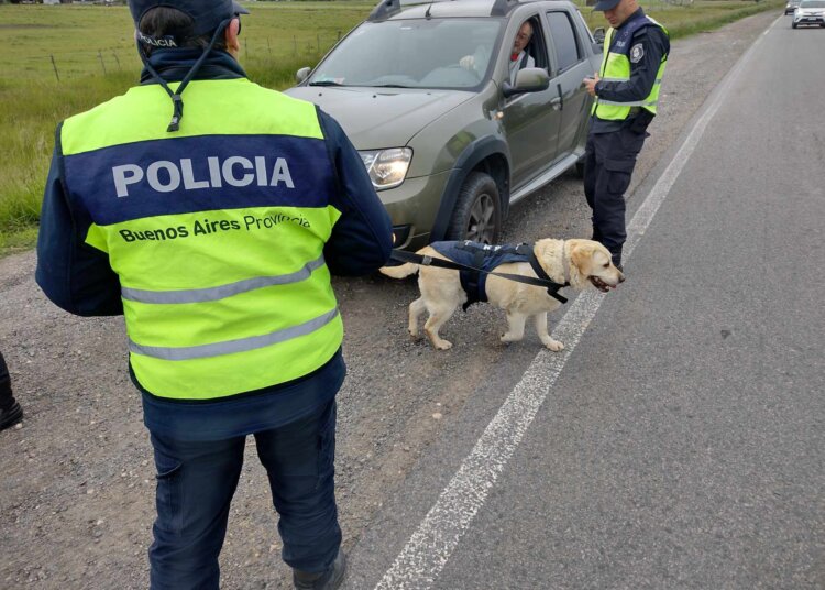 Amplio operativo policial sobre ruta nacional 3