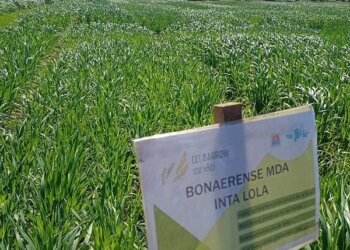 Provinciales, Desarrollo Agrario
