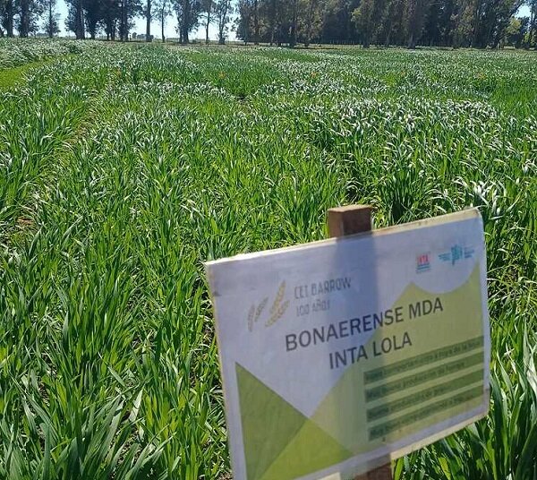 Provinciales, Desarrollo Agrario