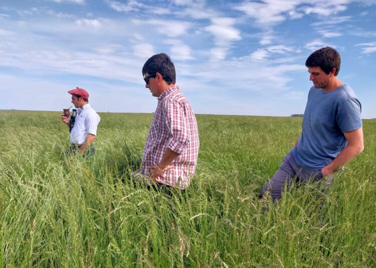 Muy buen marco de público acompañó la jornada ganadera a campo