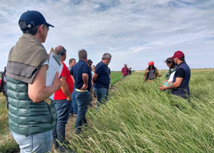 Muy buen marco de público acompañó la jornada ganadera a campo