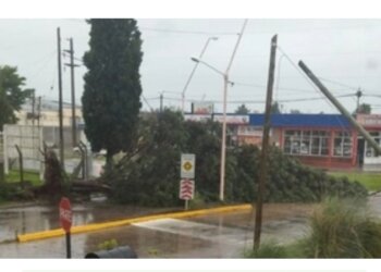 Un nuevo temporal azotó la ciudad: «provocó menos impacto que el anterior»