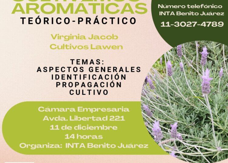 INTA Benito Juárez organiza un taller sobre el cultivo de aromáticas
