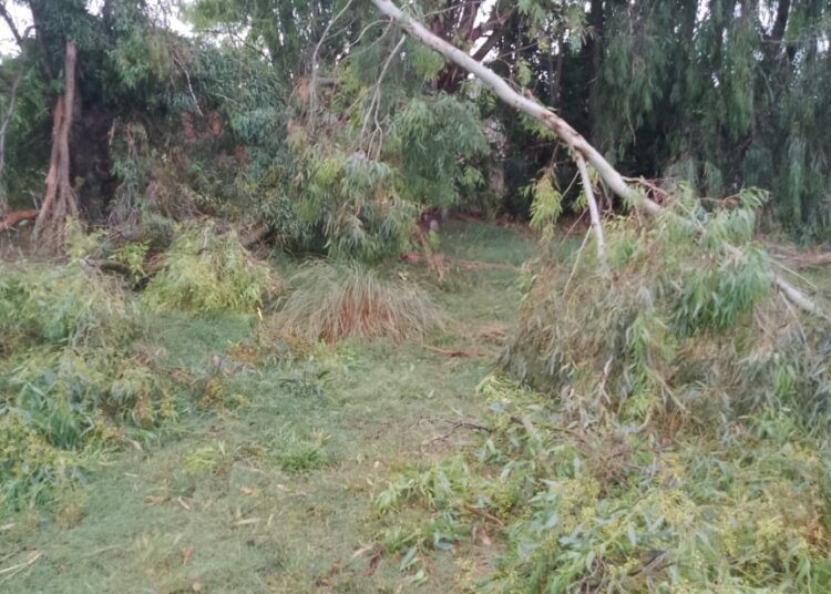 El temporal también azotó a Benito Juárez y dejó algunas consecuencias materiales