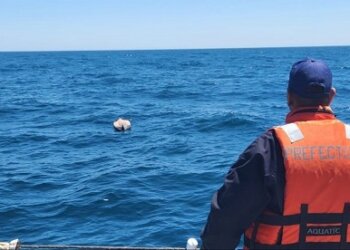 Encontraron dado vuelta y sin tripulantes al kayak del joven desaparecido