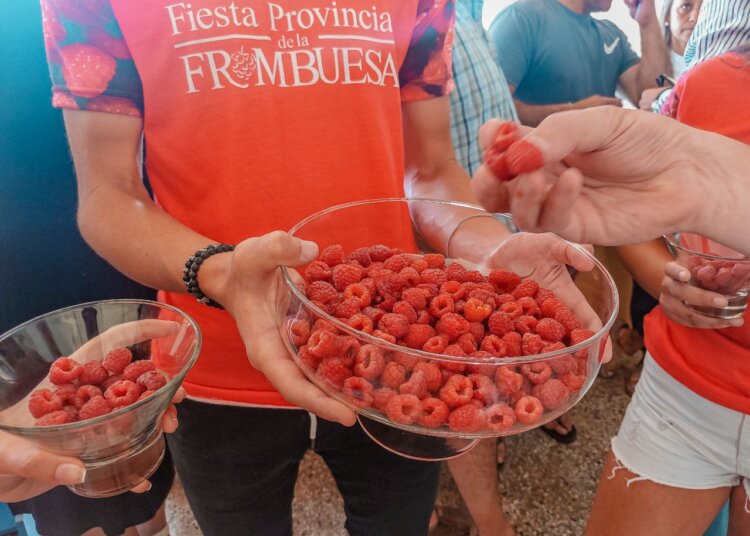 Lanzamiento de la 21° Edición de la Fiesta Provincial de la Frambuesa