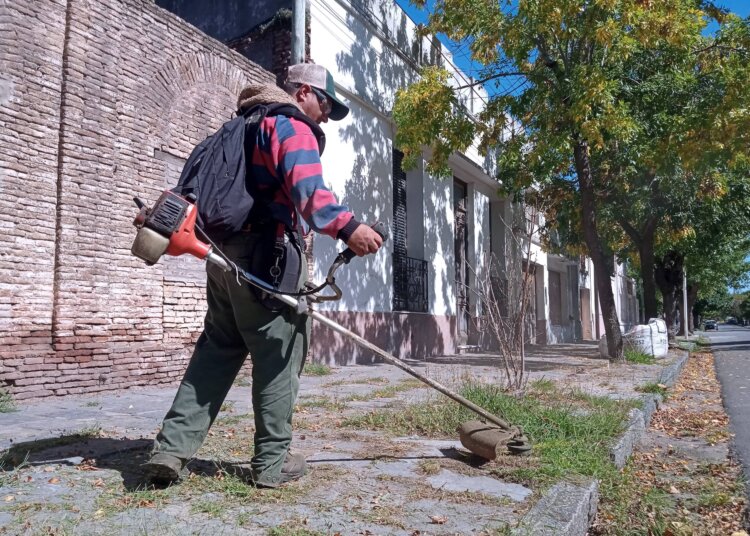 Se realizan trabajos de limpieza y mantenimiento en calles de la ciudad
