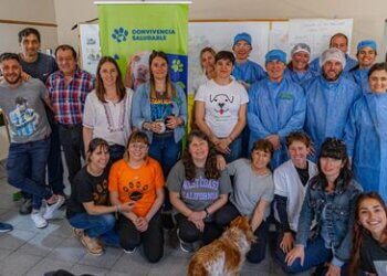 Hoy se realiza la primera Jornada de Castraciones Masivas