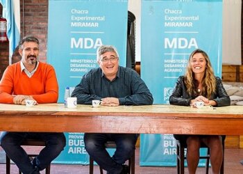 Javier Rodríguez: «Ningún país se desarrolla achicando el mercado interno»