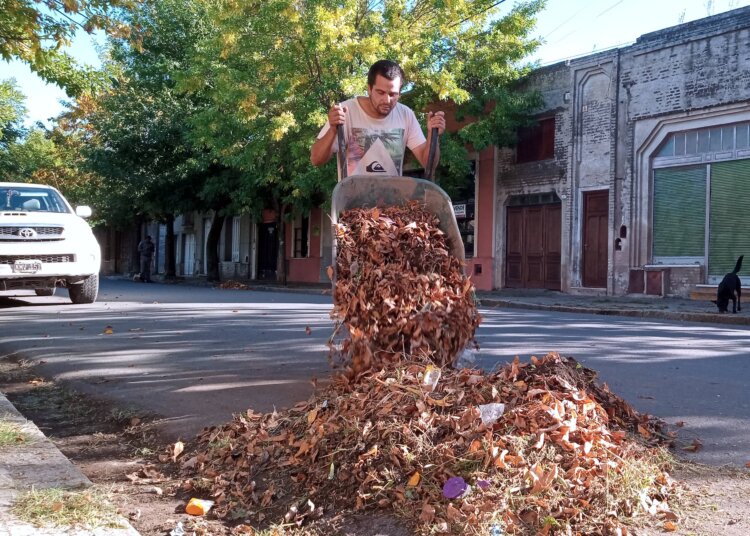  Se realizan trabajos de limpieza y mantenimiento en calles de la ciudad