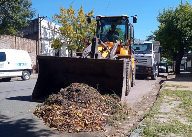  Se realizan trabajos de limpieza y mantenimiento en calles de la ciudad