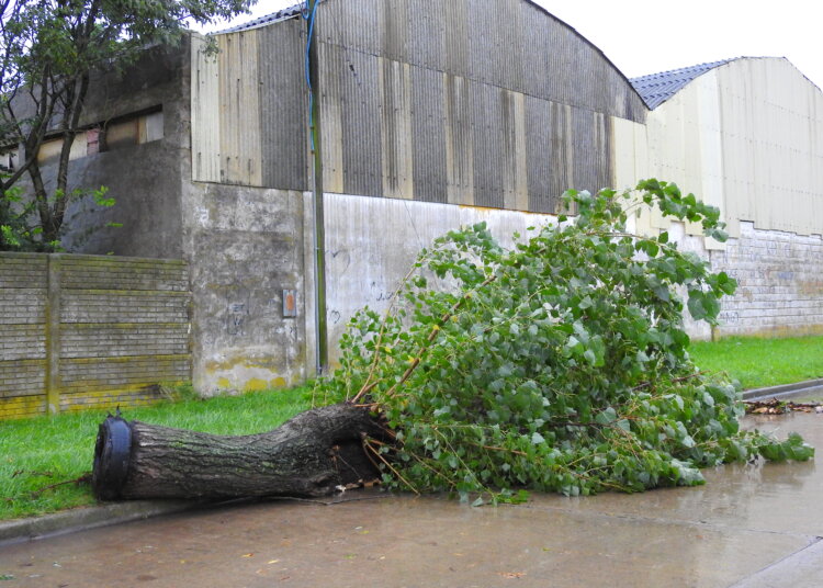 La tormenta de la madrugada voló un techo, y generó problemas en líneas eléctricas