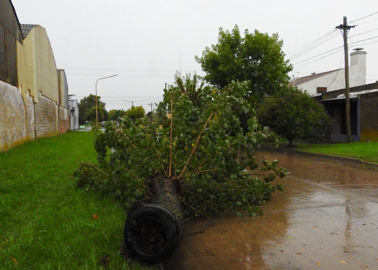 La tormenta de la madrugada voló un techo, y generó problemas en líneas eléctricas