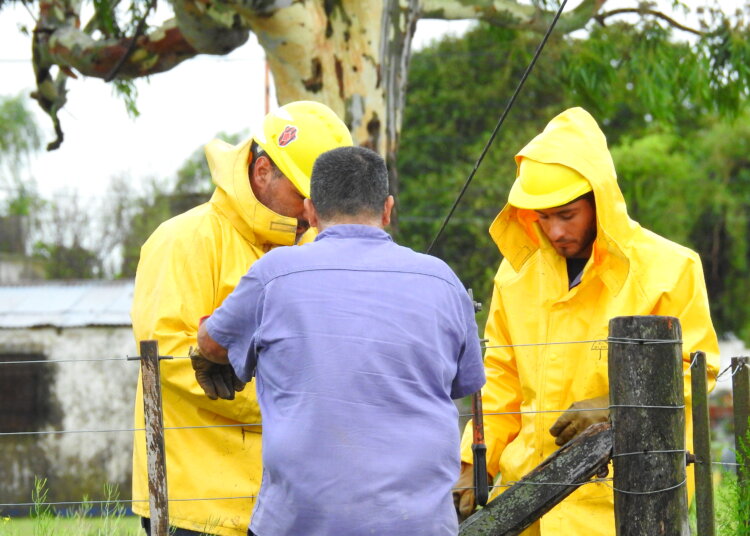 La tormenta de la madrugada voló un techo, y generó problemas en líneas eléctricas