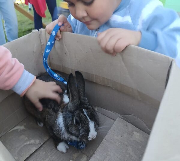 El Jardin 906 realizó un Desfile de Mascotas para agasajarlos en su día
