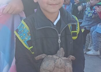 El Jardin 906 realizó un Desfile de Mascotas para agasajarlos en su día