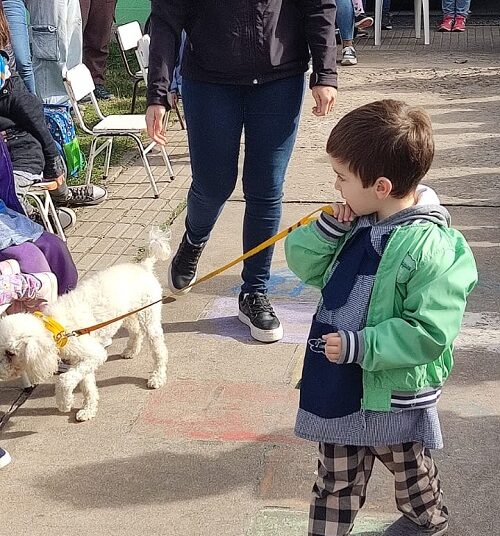El Jardin 906 realizó un Desfile de Mascotas para agasajarlos en su día