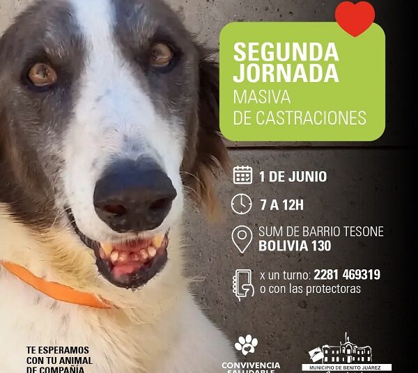 Llega la segunda Jornada de Castraciones Masivas el próximo 1 º de Junio