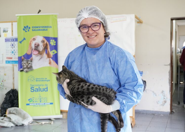 Colaboración comunitaria y profesional en la Segunda Jornada de Castraciones Masivas